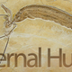 Illustration for article titled Jurassic Blood Fest Frozen Forever In Stone Shrivels Me Testis